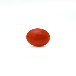 Japanese Red Coral - Moonga - 2.68 Carat - Pramogh