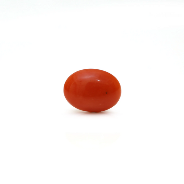 Japanese Red Coral - Moonga - 2.68 Carat - Pramogh