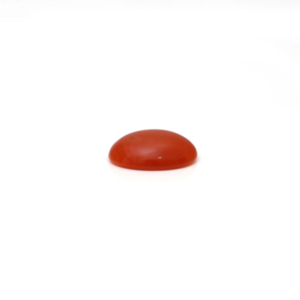 Japanese Red Coral - 2.68 Carat