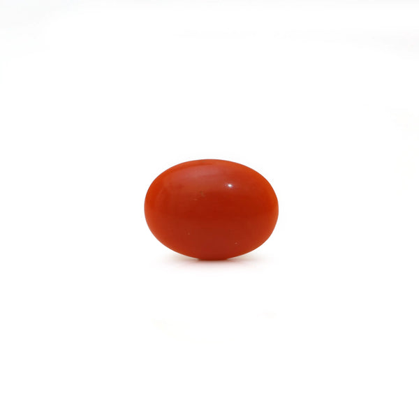 Japanese Red Coral - Moonga - 2.25 Carat - Pramogh