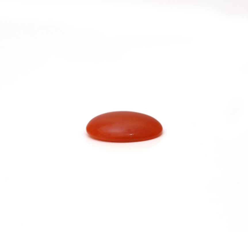 Japanese Red Coral - 2.25 Carat