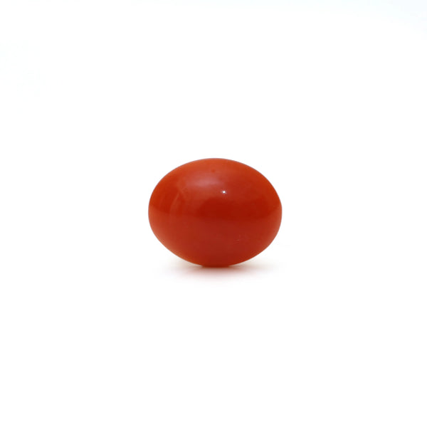 Japanese Red Coral - Moonga - 2.8 Carat - Pramogh