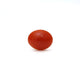 Japanese Red Coral - Moonga - 2.8 Carat - Pramogh