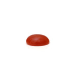 Japanese Red Coral - 2.8 Carat
