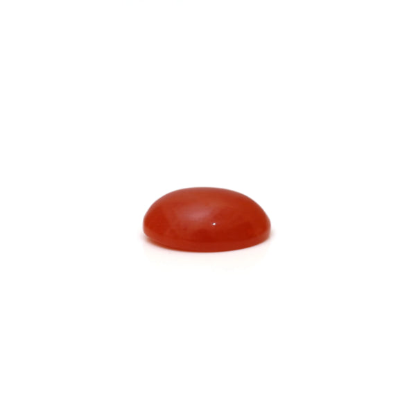 Japanese Red Coral - 2.8 Carat