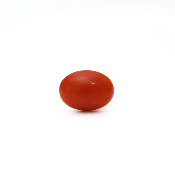 Japanese Red Coral - Moonga - 3 Carat - Pramogh