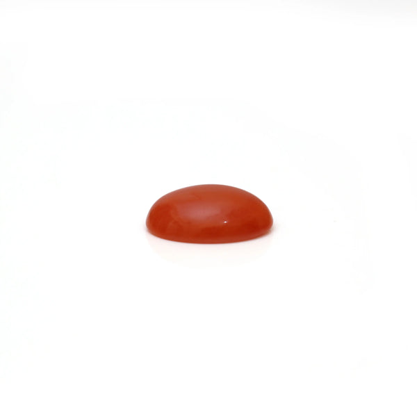 Japanese Red Coral - 3 Carat