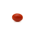 Japanese Red Coral - Moonga - 2.89 Carat - Pramogh