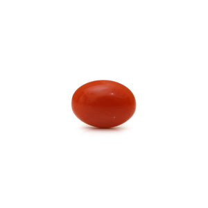 Japanese Red Coral - Moonga - 2.89 Carat - Pramogh