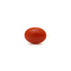 Japanese Red Coral - Moonga - 2.89 Carat - Pramogh