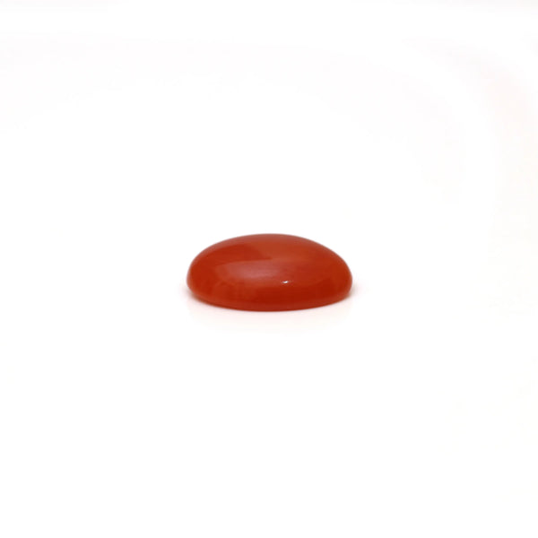 Japanese Red Coral - 2.89 Carat