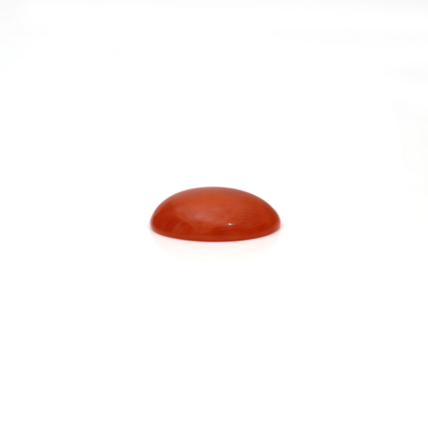 Japanese Red Coral - 2.67 Carat
