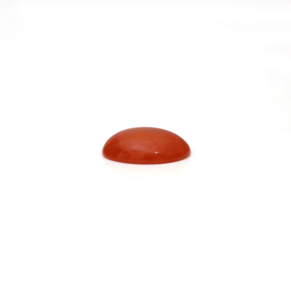 Japanese Red Coral - 2.67 Carat