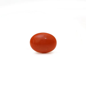 Japanese Red Coral - Moonga - 2.66 Carat - Pramogh