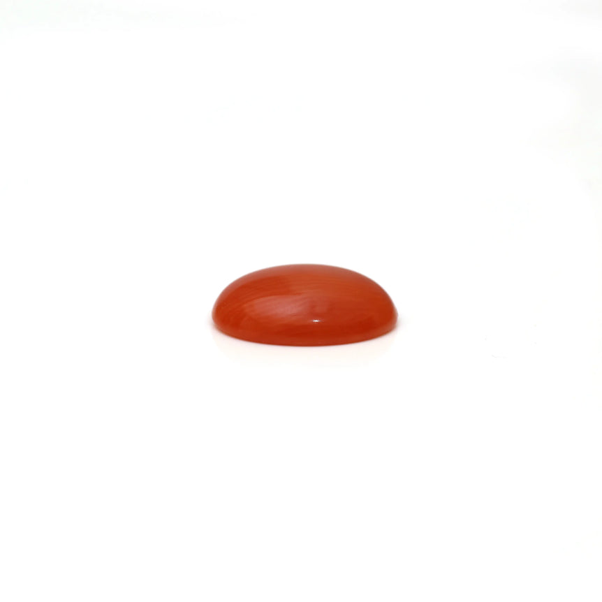 Japanese Red Coral - 2.66 Carat