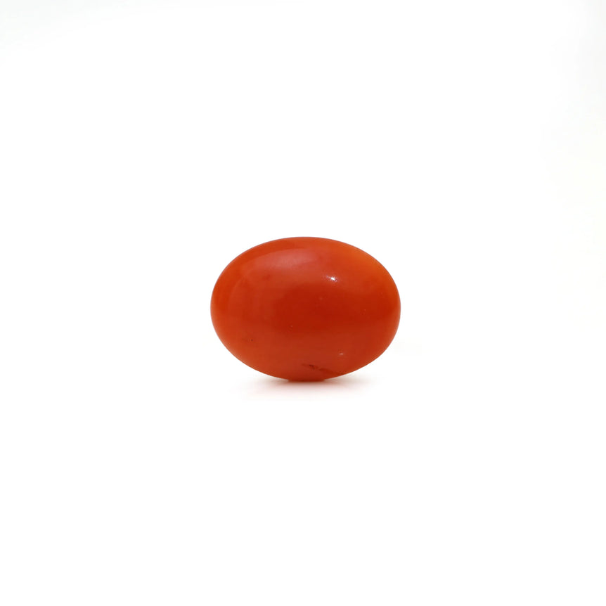 Japanese Red Coral - Moonga - 2.6 Carat - Pramogh