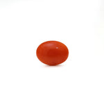 Japanese Red Coral - Moonga - 2.6 Carat - Pramogh