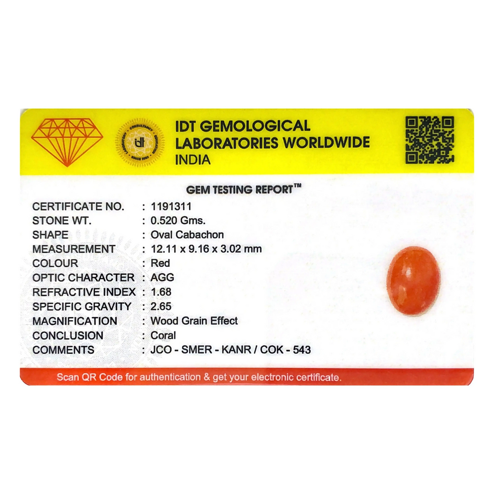 Japanese Red Coral - 2.6 Carat