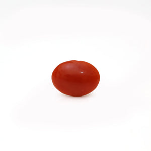 Japanese Red Coral - Moonga - 2.37 Carat - Pramogh