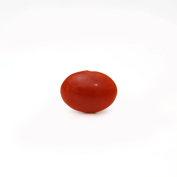Japanese Red Coral - Moonga - 2.37 Carat - Pramogh