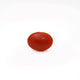 Japanese Red Coral - Moonga - 2.37 Carat - Pramogh