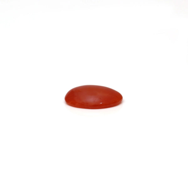 Japanese Red Coral - 2.37 Carat