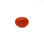 Japanese Red Coral - Moonga - 2.45 Carat - Pramogh