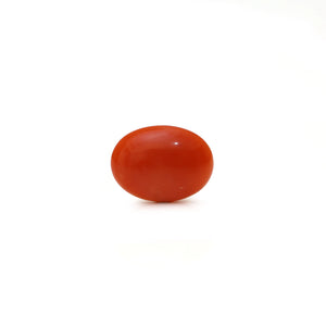 Japanese Red Coral - Moonga - 2.45 Carat - Pramogh