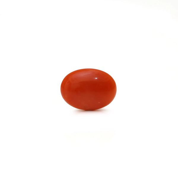 Japanese Red Coral - Moonga - 2.45 Carat - Pramogh