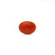 Japanese Red Coral - Moonga - 2.45 Carat - Pramogh