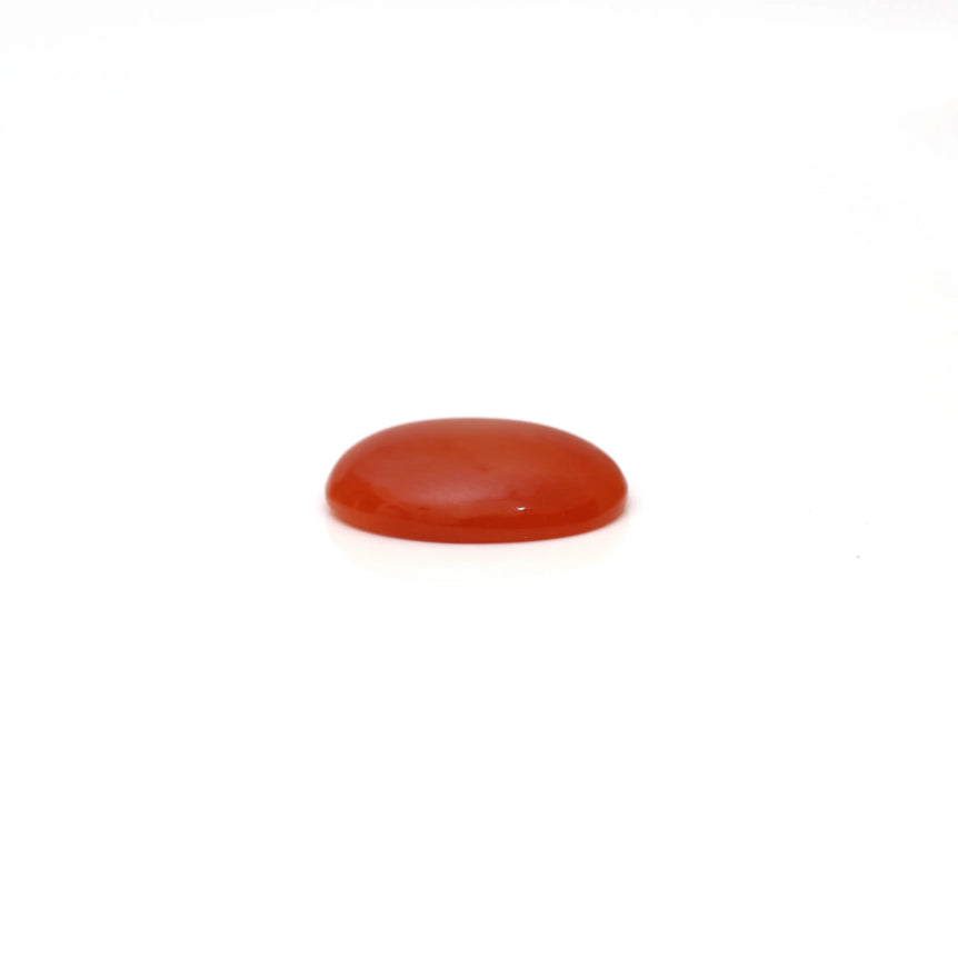 Japanese Red Coral - 2.45 Carat