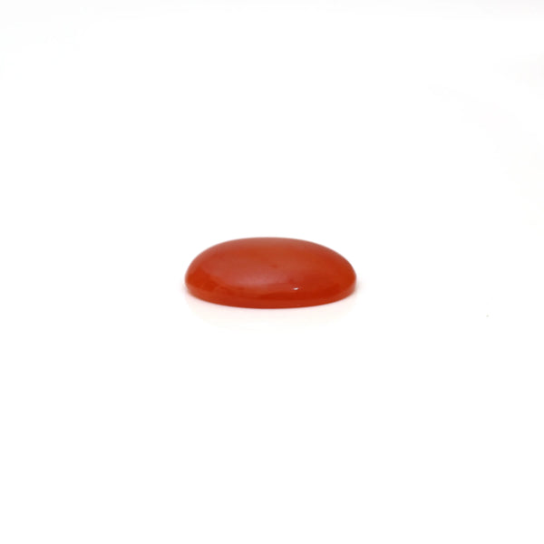 Japanese Red Coral - 2.45 Carat