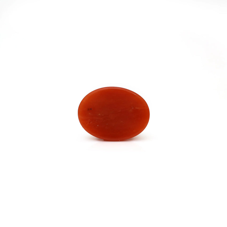 Japanese Red Coral - 3 Carat