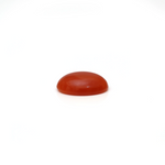 Japanese Red Coral - 3 Carat