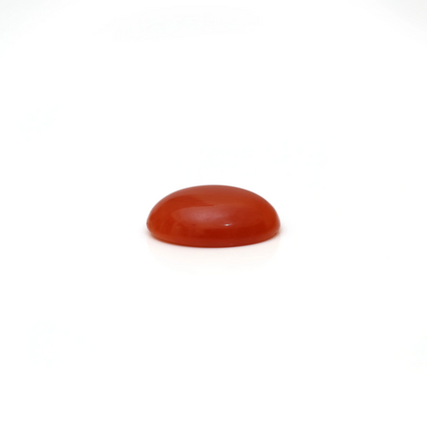 Japanese Red Coral - 3 Carat