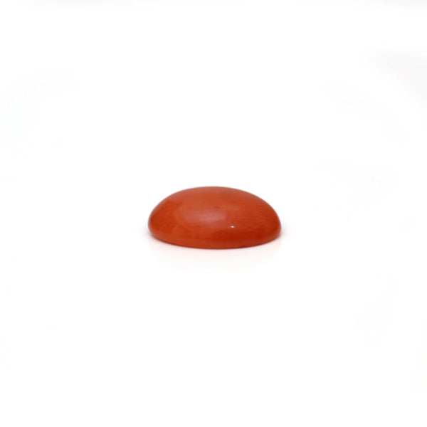 Japanese Red Coral - 3.09 Carat