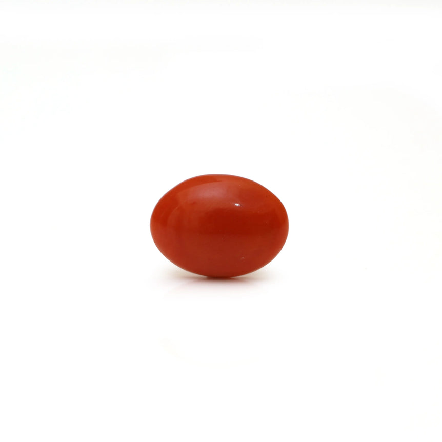 Japanese Red Coral - Moonga - 2.65 Carat - Pramogh