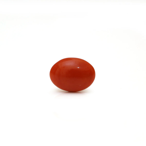 Japanese Red Coral - Moonga - 2.65 Carat - Pramogh