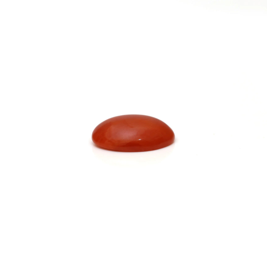 Japanese Red Coral - 2.65 Carat