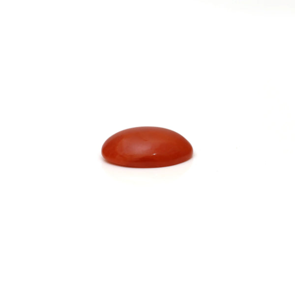 Japanese Red Coral - 2.65 Carat
