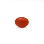 Japanese Red Coral - Moonga - 2.65 Carat - Pramogh