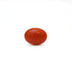 Japanese Red Coral - Moonga - 2.65 Carat - Pramogh