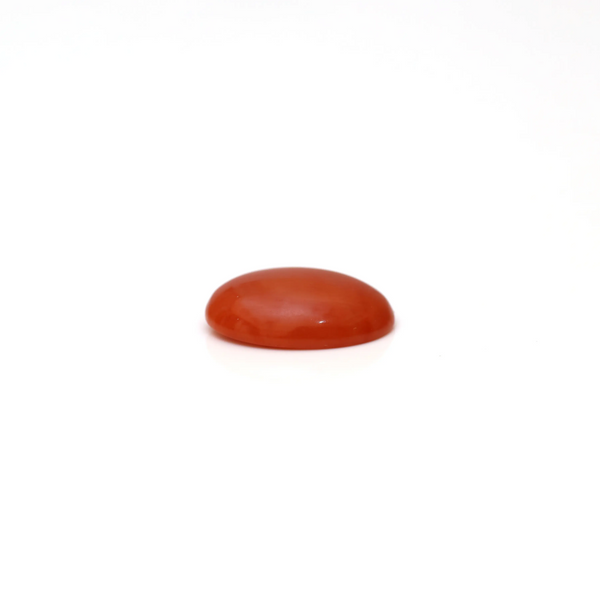 Japanese Red Coral - 2.65 Carat
