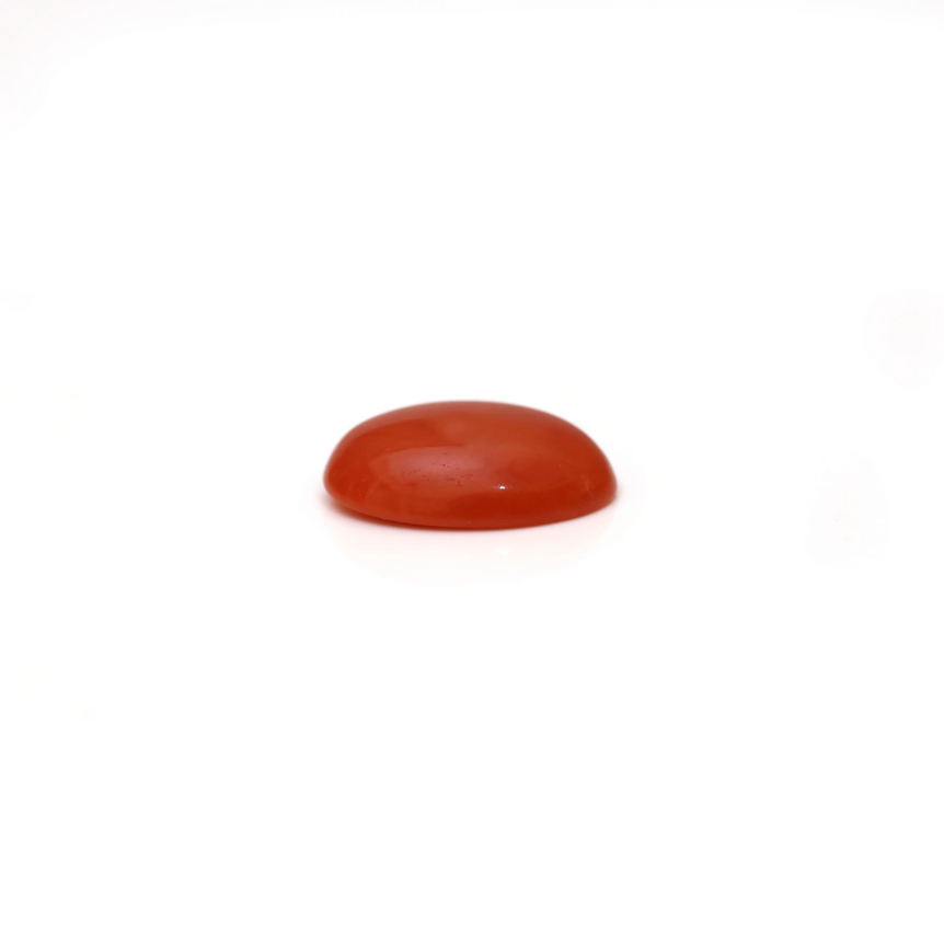 Japanese Red Coral - 2.8 Carat