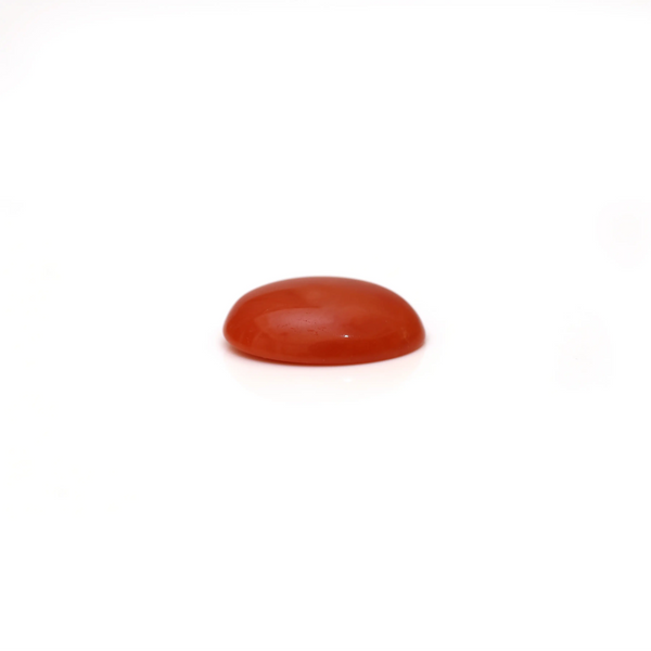 Japanese Red Coral - 2.8 Carat