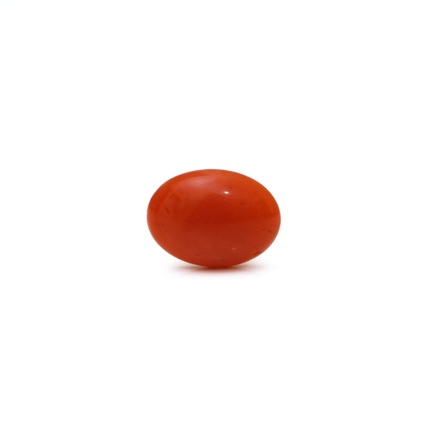 Japanese Red Coral - Moonga - 2.8 Carat - Pramogh