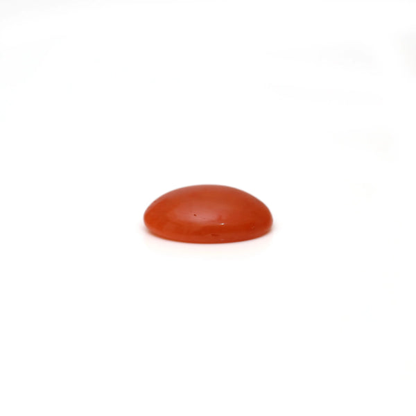 Japanese Red Coral - 2.8 Carat