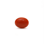 Japanese Red Coral - Moonga - 2.8 Carat - Pramogh