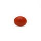 Japanese Red Coral - Moonga - 2.8 Carat - Pramogh