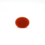 Japanese Red Coral - 2.8 Carat